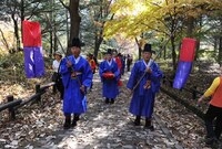 제15회 장성 백양단풍축제