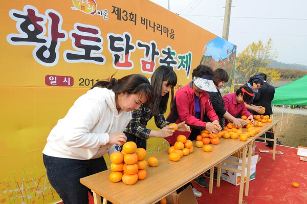 제3회 황토단감 한마당 잔치(남면 자풍 비나리 마을)