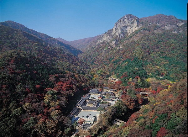 장성 관광사진전(백양사 단풍)