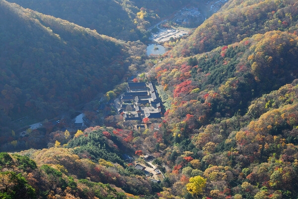 장성 관광화보(백양사 단풍)