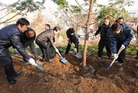 그린장성21추진협의회 편백...