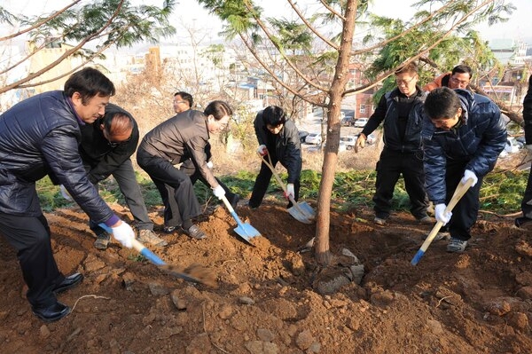 그린장성21추진협의회 편백나무 심기 행사