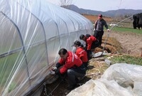 2012년 강풍피해 복구 ...