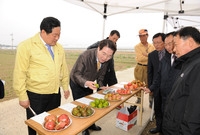 영농현장 대화(분향찰토마토...