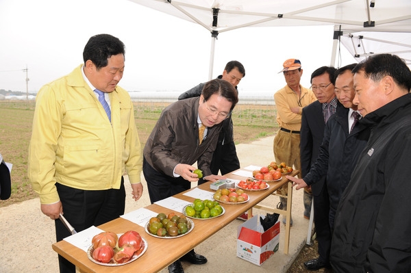 영농현장 대화(분향찰토마토 작목반)