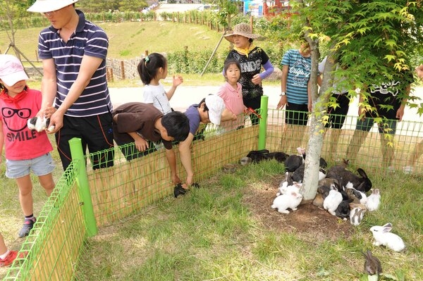 제14회 장성 홍길동 축제