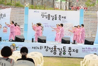 제14회 장성 홍길동 축제