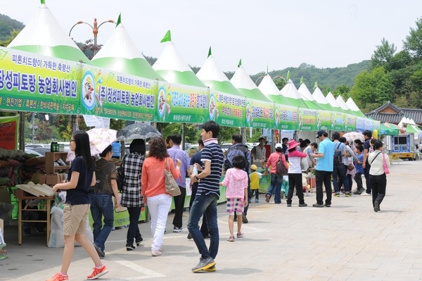 제14회 장성 홍길동 축제