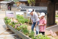 제14회 장성 홍길동 축제