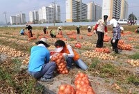 2012년 공무원 농촌 일...