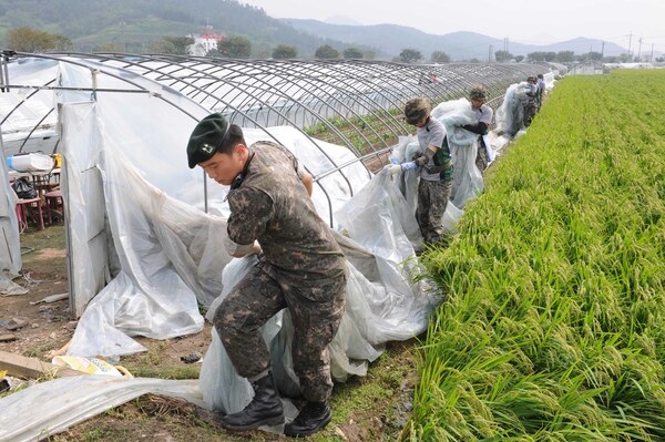 태풍(볼라벤)피해농가 복구 현장
