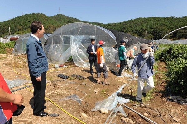 태풍 (볼라벤)피해복구 현장(함안군 공직자)