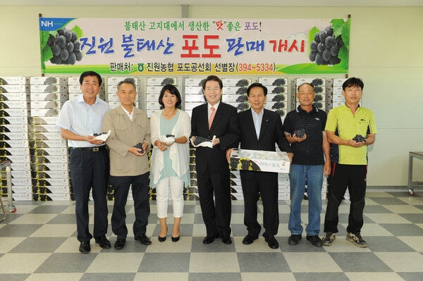 진원 불태산 포도 공동 선별장 방문
