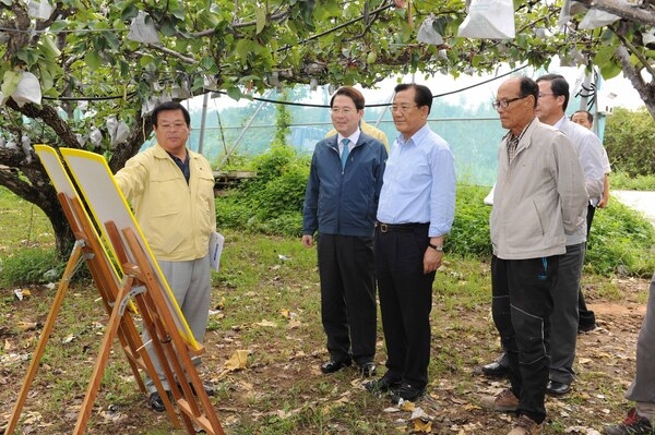 박준영 도지사 태풍 피해 현장방문 (진원면 용산리)