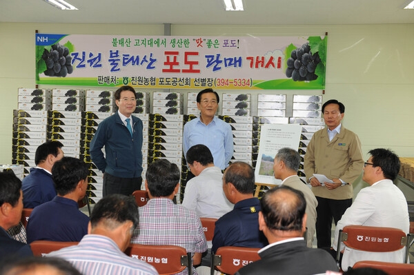 박준영 도지사 진원 불태산 포도 작목반 공동 선별장 방문