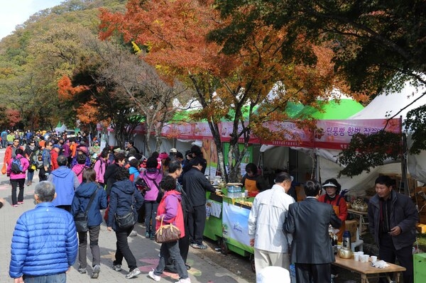 제16회 장성 백양단풍축제