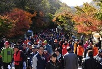 제16회 장성 백양단풍축제