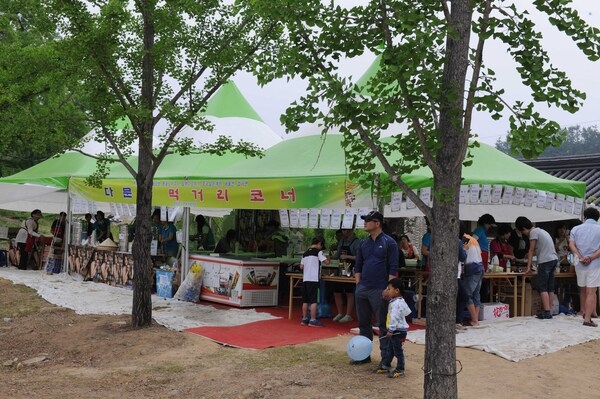 제15회 장성 홍길동 축제