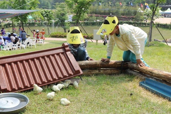 제15회 장성 홍길동 축제