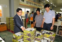 황룡농협 포도 공동선별작업...