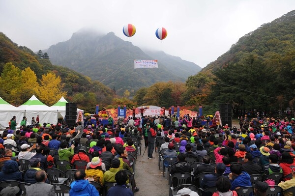 제18회 장성 백양담풍 축제