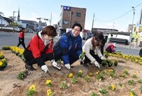 옐로우 시티 봄 꽃동산 조...