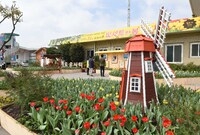 옐로우 시티 꽃동산 조성 ...