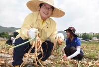 2015년 공무원 농촌 일...