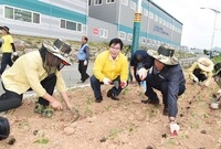 옐로우 시티 꽃동산 조성(...
