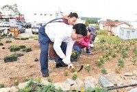 옐로우 시티 꽃동산 조성(...