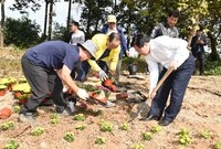옐로우 시티(고려시멘트앞,...