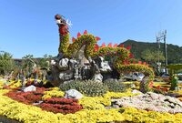 제1회 노란꽃 잔치(옐로우...
