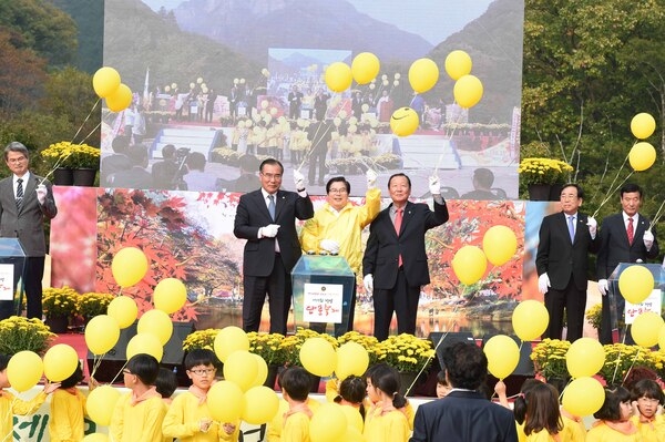 제19회 장성 백양 단풍 축제