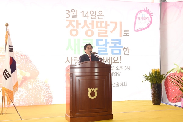 2016 장성 딸기 데이