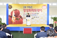 장성 토마토데이 행사