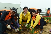반구다리 꽃 식재 및 격려