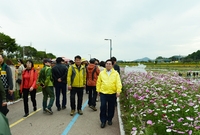 노란꽃잔치 군수님 점검