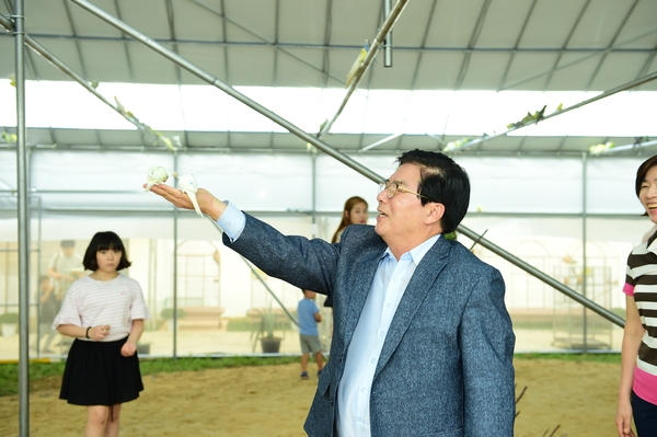 군수님 공설운동장 앵무새 농장 방문