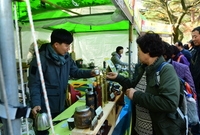 단풍축제장 점검
