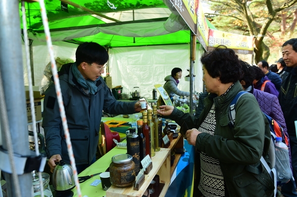 단풍축제장 점검