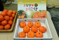 김영록 전라남도지사 레드향...