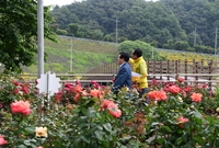 군수님 평림댐 점검