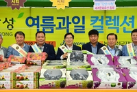 장성여름과일 컬렉션