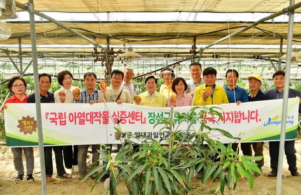 남면 애플 망고 농장 방문