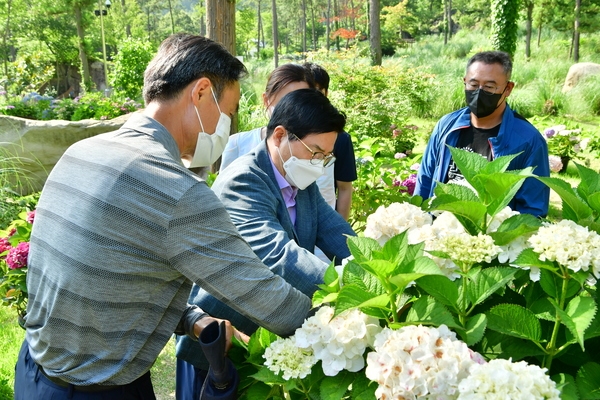 강진,해남 수국 벤치마킹