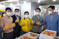 도지사님 청년농업인 영농 ...