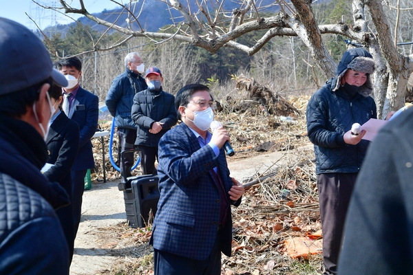 감전정교육