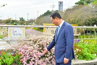 군수님 축제장 점검