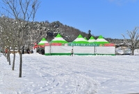 율도국의 별별 크리스마스