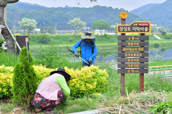 그린장성21추진협의회 야은리 식재